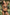Swimsuit two piece Marko - CELIA MODA