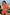 Swimsuit two piece Marko - CELIA MODA