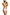 Panties Babell - CELIA MODA