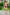 Swimsuit two piece Ewlon - CELIA MODA