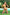 Swimsuit two piece Ewlon - CELIA MODA
