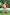 Swimsuit two piece Ewlon - CELIA MODA