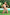 Swimsuit two piece Ewlon - CELIA MODA