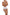 Panties Babell - CELIA MODA