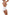 Panties Babell - CELIA MODA