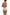 Panties Babell - CELIA MODA