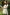 Bathrobe DKaren - CELIA MODA