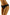 Panties Wolbar - CELIA MODA