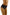 Panties Wolbar - CELIA MODA