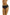 Panties Wolbar - CELIA MODA