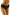 Panties Wolbar - CELIA MODA