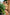 Swimsuit two piece Ewlon - CELIA MODA