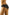 Panties Wolbar - CELIA MODA