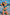 Swimsuit two piece Marko - CELIA MODA