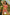 Swimsuit two piece Marko - CELIA MODA