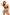 Swimsuit two piece Marko - CELIA MODA