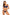Swimsuit two piece Marko - CELIA MODA