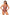 Swimsuit one piece Marko - CELIA MODA