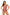 Swimsuit one piece Marko - CELIA MODA