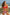 Swimsuit two piece Marko - CELIA MODA