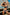 Swimsuit two piece Marko - CELIA MODA