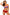 Swimsuit two piece Marko - CELIA MODA