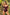 Swimsuit one piece Marko - CELIA MODA