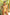 Swimsuit one piece Marko - CELIA MODA