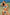 Swimsuit two piece Marko - CELIA MODA