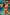 Swimsuit two piece Marko - CELIA MODA