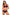 Swimsuit two piece Marko - CELIA MODA