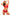 Swimsuit two piece Marko - CELIA MODA