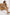 Set Ex Moda - CELIA MODA