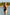 Swimsuit one piece Ewlon - CELIA MODA