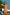 Swimsuit two piece Ewlon - CELIA MODA