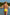Swimsuit two piece Ewlon - CELIA MODA