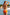 Swimsuit two piece Ewlon - CELIA MODA