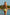 Swimsuit two piece Ewlon - CELIA MODA