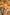Swimsuit two piece Ewlon - CELIA MODA