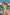 Swimsuit two piece Ewlon - CELIA MODA