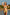 Swimsuit two piece Ewlon - CELIA MODA