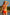 Swimsuit two piece Ewlon - CELIA MODA