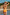 Swimsuit two piece Ewlon - CELIA MODA