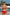 Swimsuit two piece Ewlon - CELIA MODA
