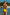 Swimsuit two piece Ewlon - CELIA MODA
